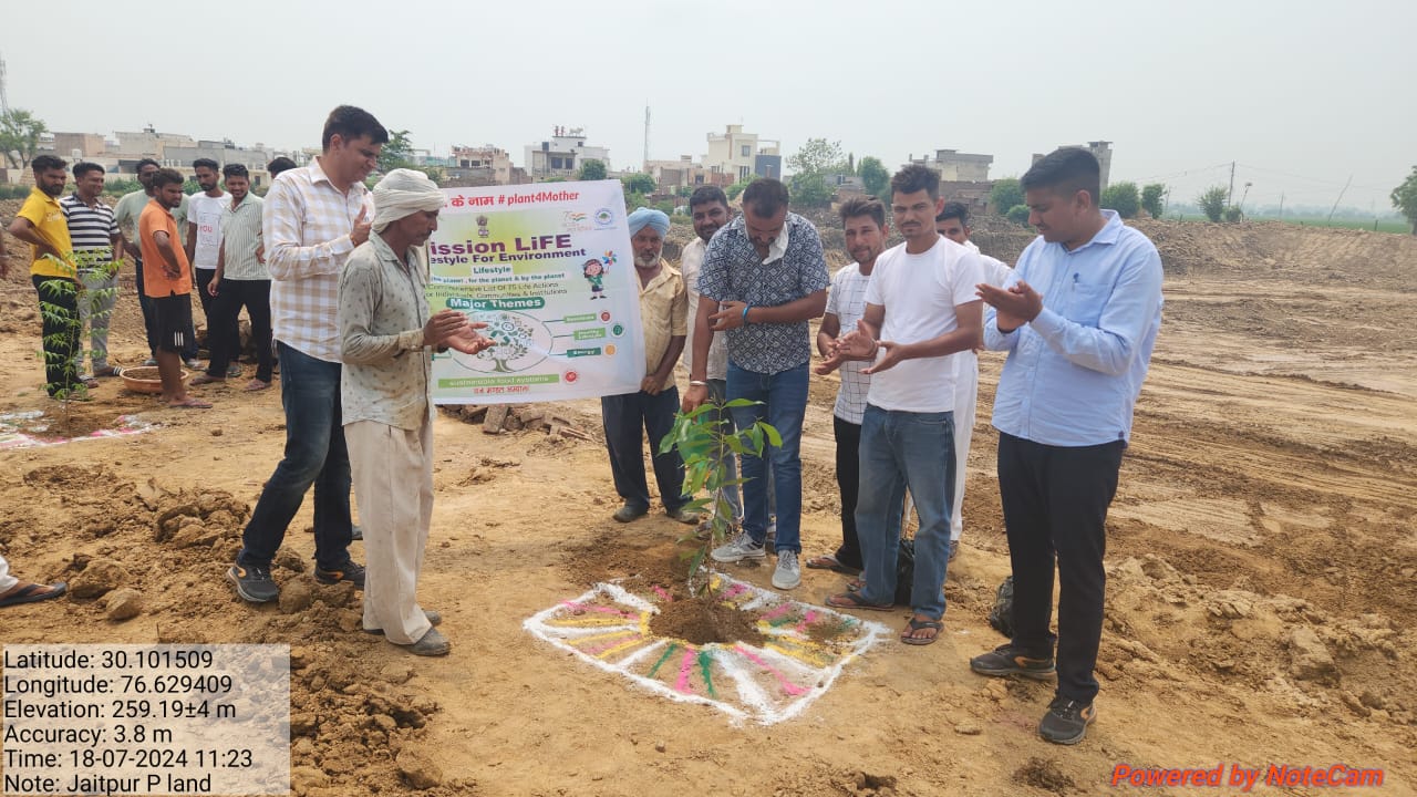 Plantation drive in Village Jaitapur